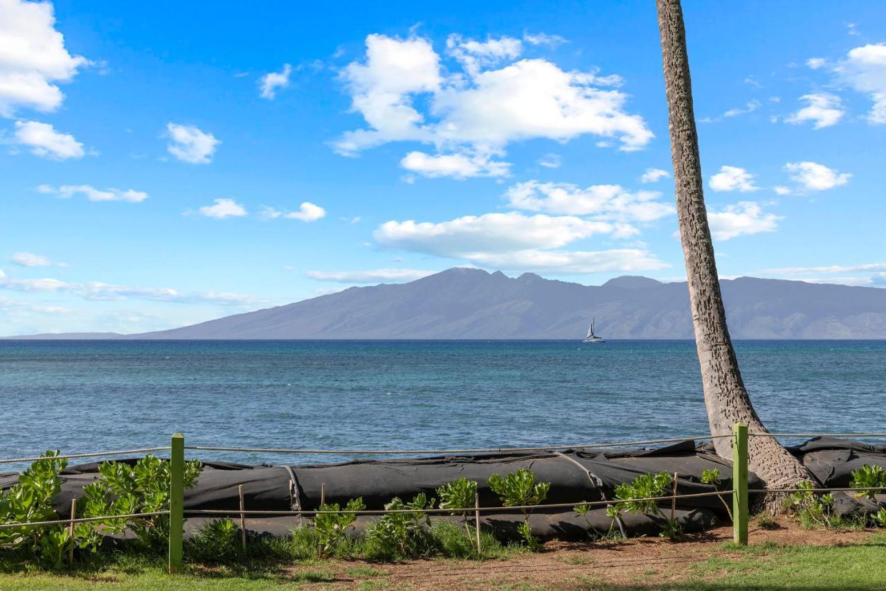 Incredible Beachfront 1Br - Sleeps 4 Awesome Location And In The Center Of Restaurants Many Beaches Golf And More Villa Kahana Eksteriør bilde