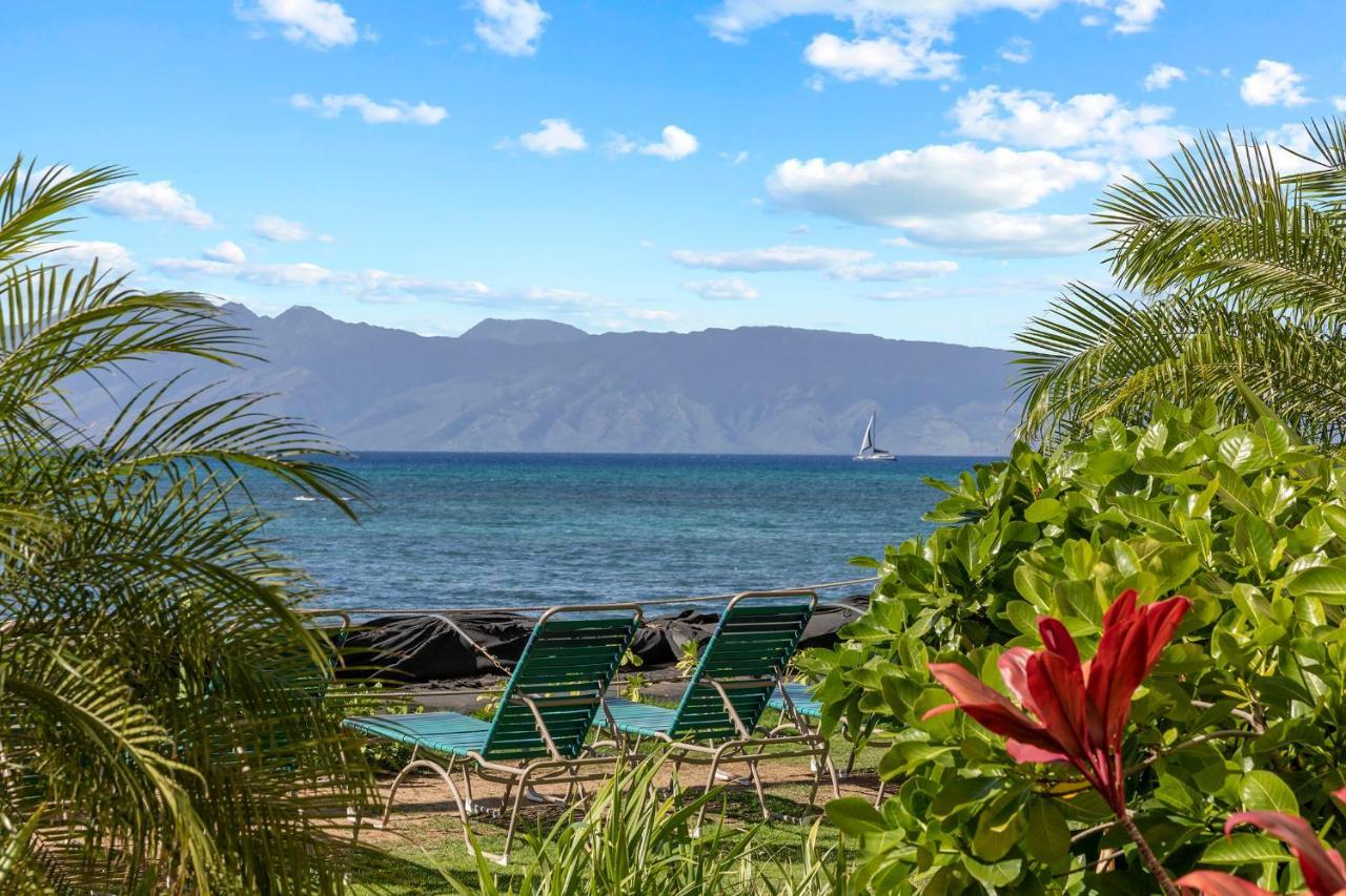 Incredible Beachfront 1Br - Sleeps 4 Awesome Location And In The Center Of Restaurants Many Beaches Golf And More Villa Kahana Eksteriør bilde